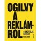 Ogilvy a reklámról a digitális korban     27.95 + 1.95 Royal Mail